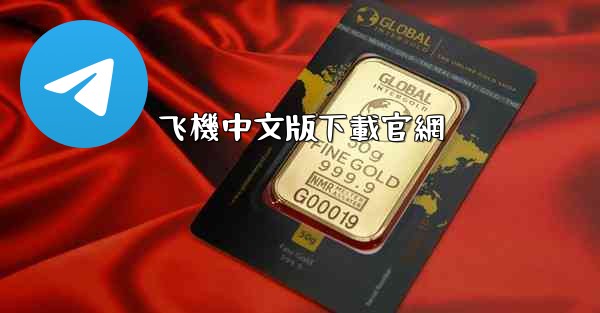 飞機中文版下載官網