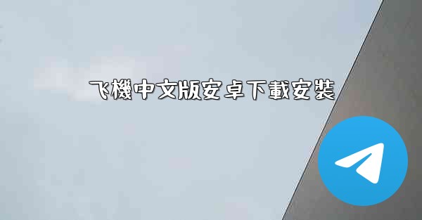 飞機中文版安卓下載安裝