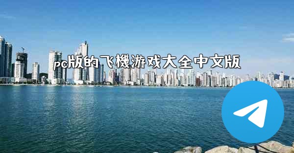 pc版的飞機游戏大全中文版