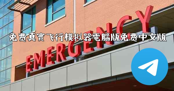 免费真實飞行模拟器電腦版免费中文版