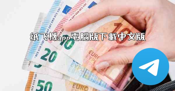 纸飞機app電腦版下載中文版