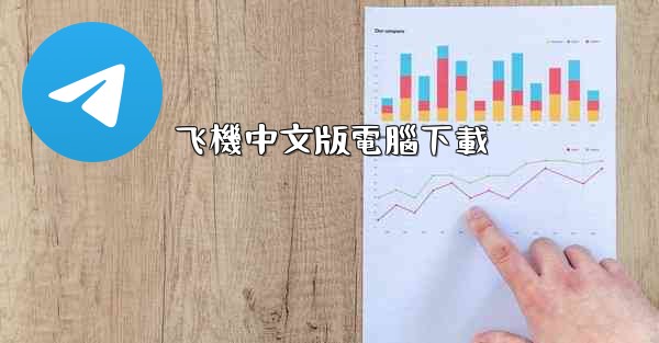 飞機中文版電腦下載