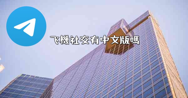 飞機社交有中文版嗎