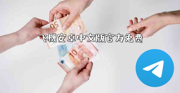 飞機安卓中文版官方免费