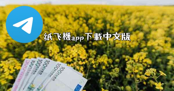 纸飞機app下載中文版
