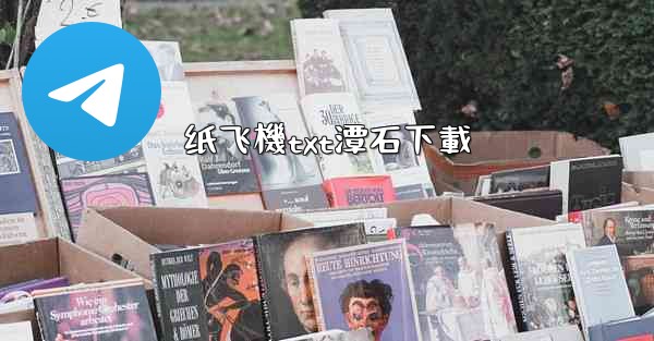 纸飞機txt潭石下載