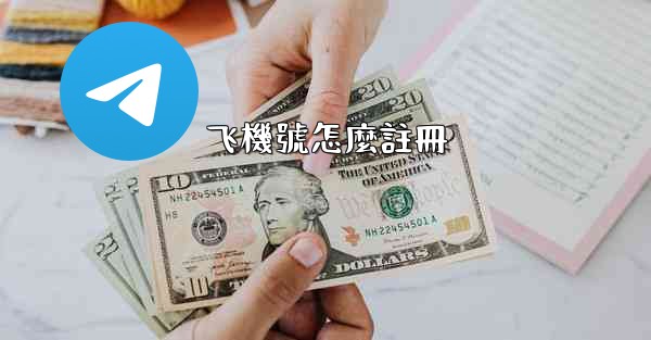 飞機號怎麼註冊