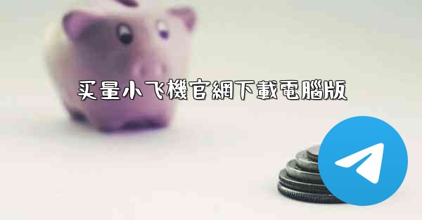 买量小飞機官網下載電腦版