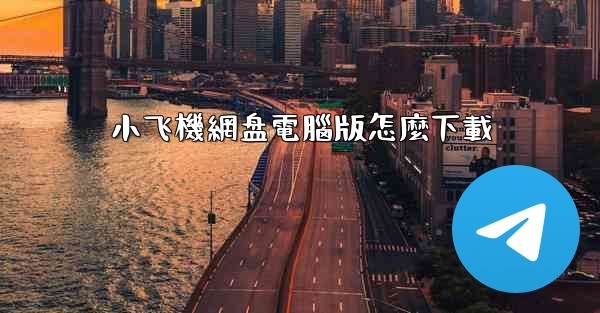 小飞機網盘電腦版怎麼下載