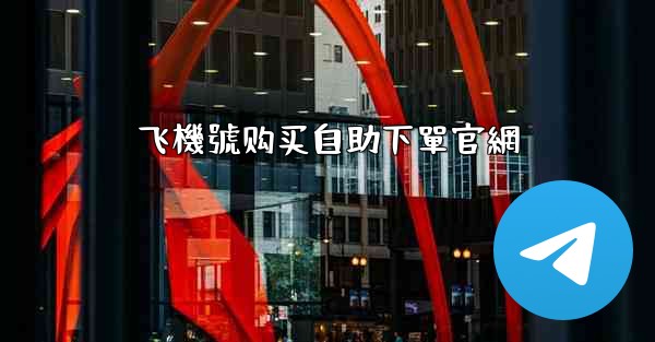 飞機號购买自助下單官網