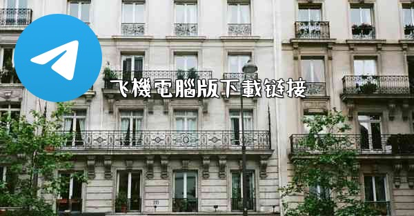 飞機電腦版下載链接