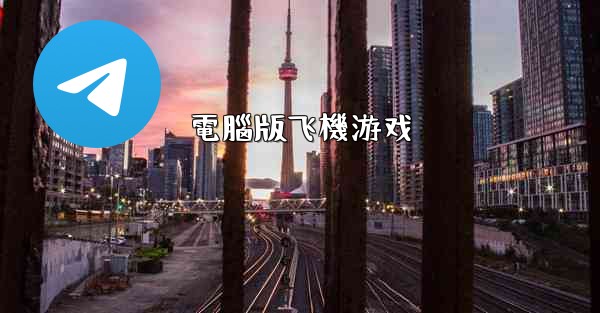 電腦版飞機游戏