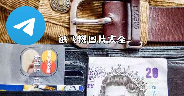 纸飞機图片大全