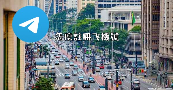 怎麼註冊飞機號