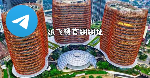 纸飞機官網網址