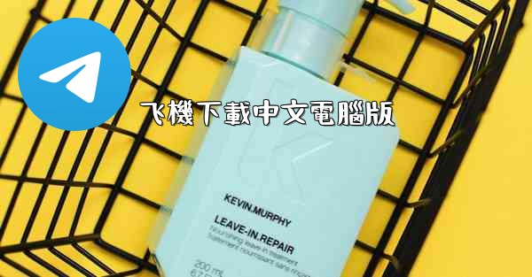 飞機下載中文電腦版