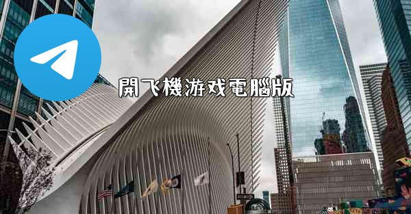 開飞機游戏電腦版