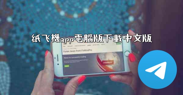 纸飞機app電腦版下載中文版