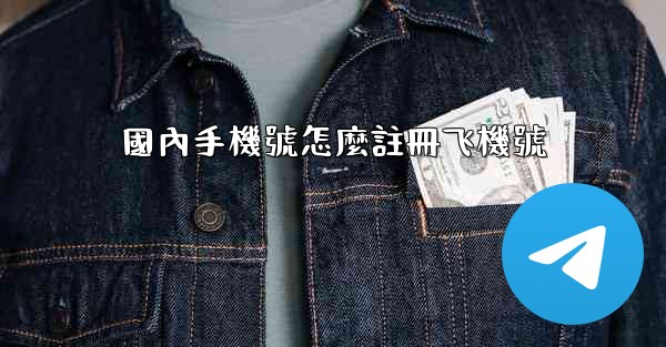 國內手機號怎麼註冊飞機號