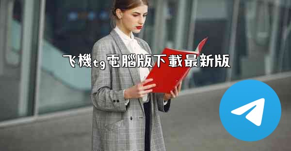 飞機tg電腦版下載最新版