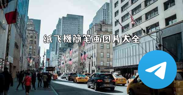 纸飞機簡笔画图片大全