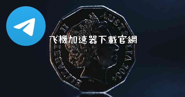 飞機加速器下載官網