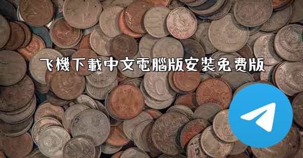 飞機下載中文電腦版安裝免费版