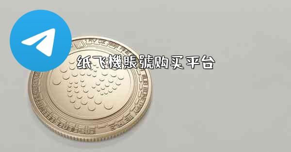 纸飞機賬號购买平台