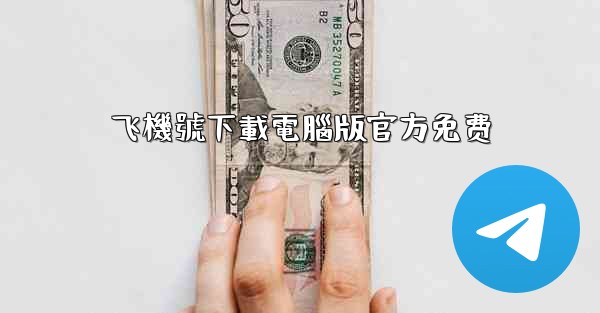 飞機號下載電腦版官方免费