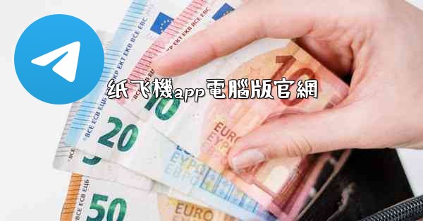 纸飞機app電腦版官網