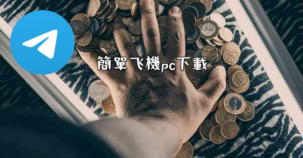 簡單飞機pc下載