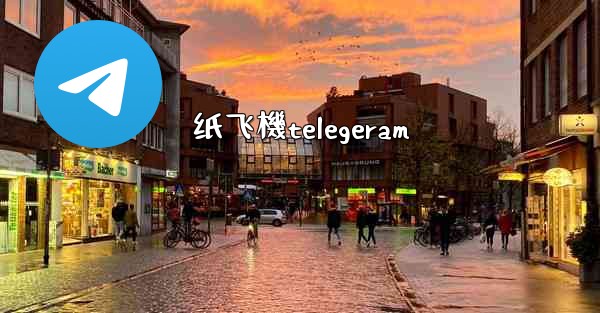 纸飞機telegeram