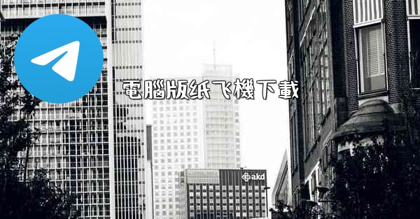 電腦版纸飞機下載