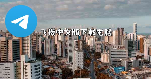 飞機中文版下載電腦