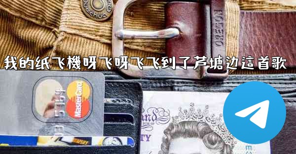 我的纸飞機呀飞呀飞飞到了芦塘边這首歌