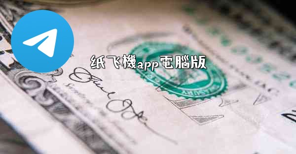 纸飞機app電腦版