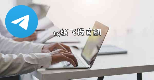 tg纸飞機官網
