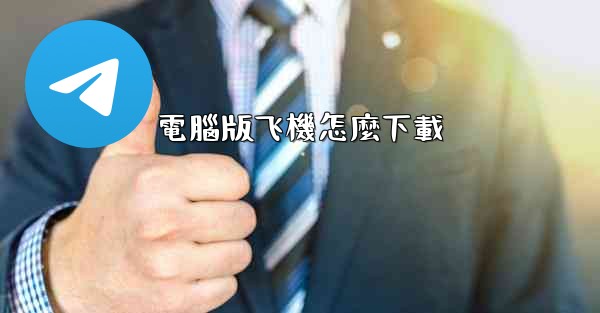 電腦版飞機怎麼下載