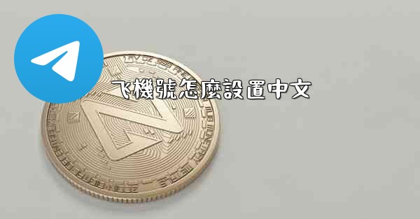 飞機號怎麼設置中文