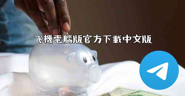 飞機電腦版官方下載中文版