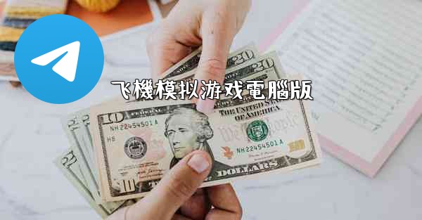 飞機模拟游戏電腦版