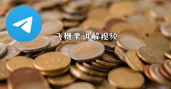 飞機票讲解视频