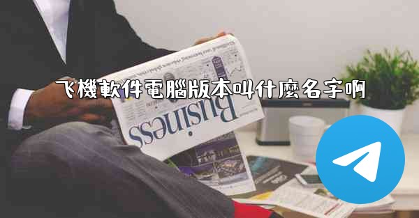 飞機軟件電腦版本叫什麼名字啊