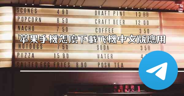 苹果手機怎麼下載飞機中文版應用