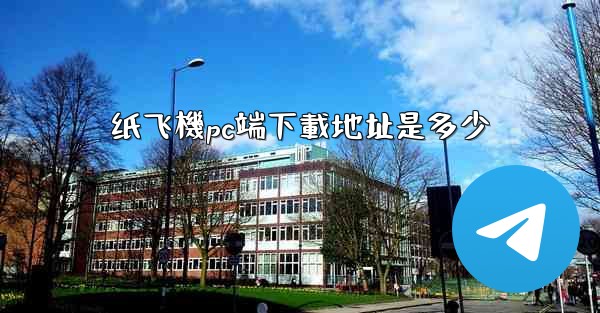 纸飞機pc端下載地址是多少