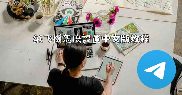 纸飞機怎麼設置中文版教程