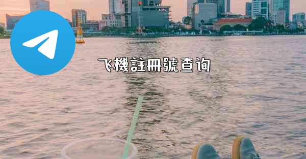 飞機註冊號查询