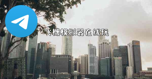 飞機模拟器在线玩