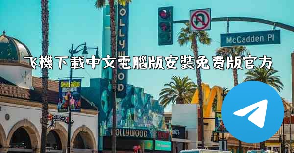 飞機下載中文電腦版安裝免费版官方