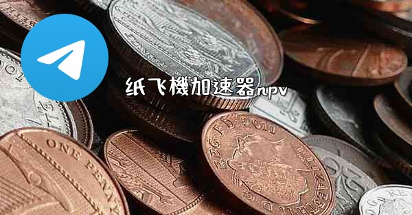 纸飞機加速器npv